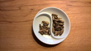 Top 10 Edible Bugs That Are Eaten Around The World