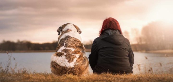 Top 10 Dog Breeds Around The World