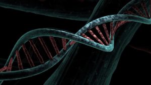 Top 10 Basic Terminologies in Genetics