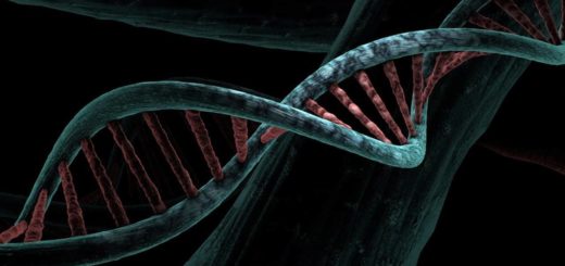 Top 10 Basic Terminologies in Genetics