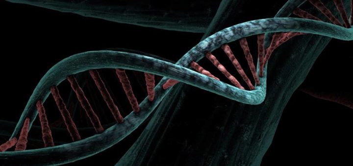 Top 10 Basic Terminologies in Genetics