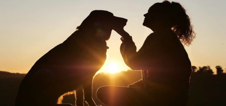 Reasons To Have A Pet