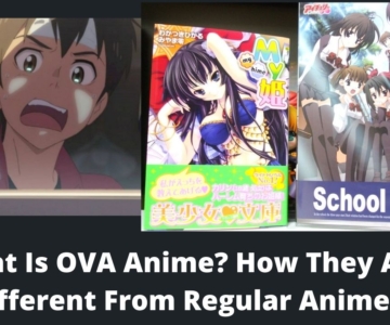 What Is OVA Anime