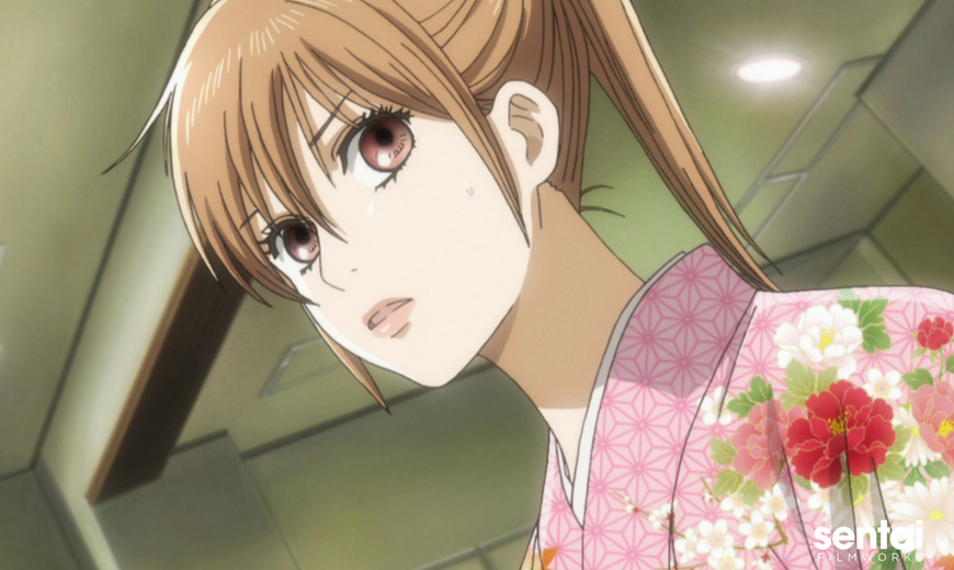 what is Josei anime