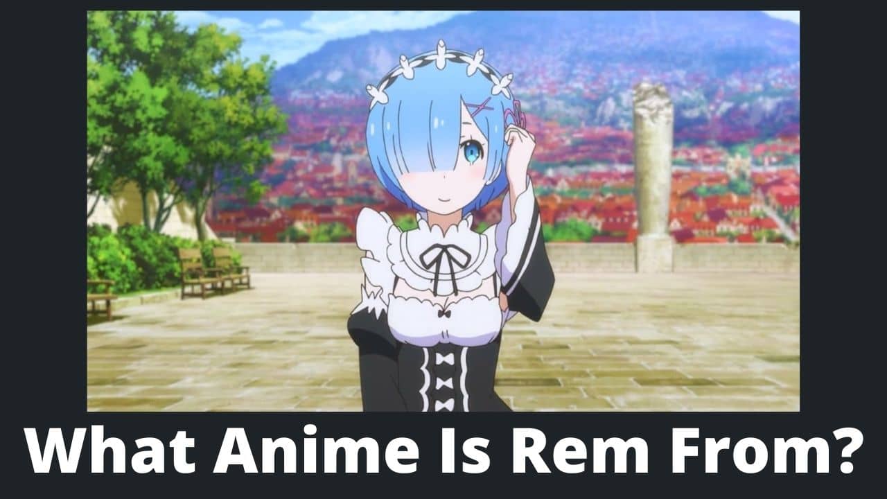 What Anime Is Rem From