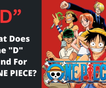What Does The D Stand For In ONE PIECE