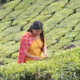 Sangeetha Kamaraj